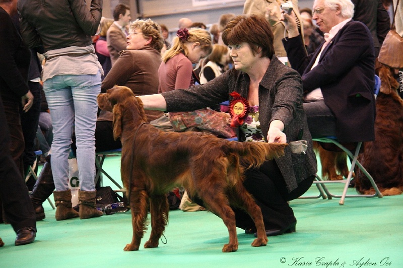 Crufts2011 875.jpg